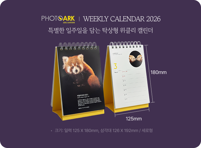 달력 사이즈 안내