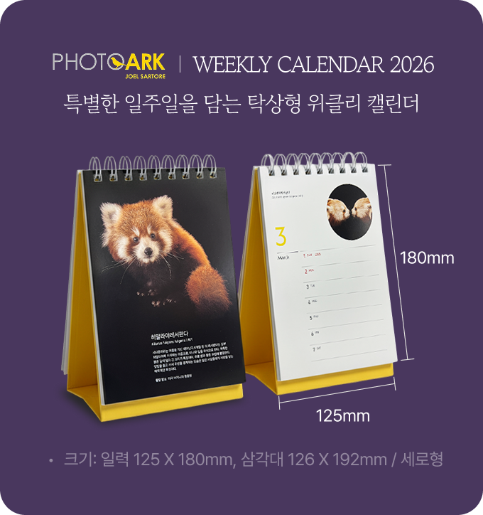 달력 사이즈 안내