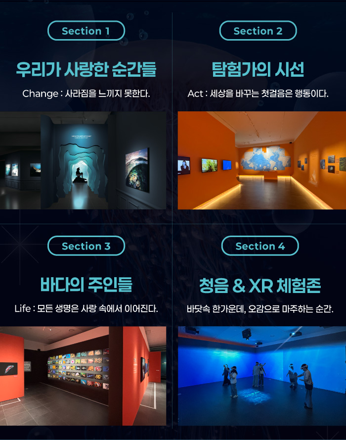 전시소개
